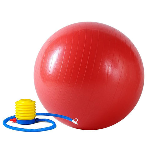 Image of Sunny Health & Fitness Anti-Burst Gym Ball w/ Pump - 55cm